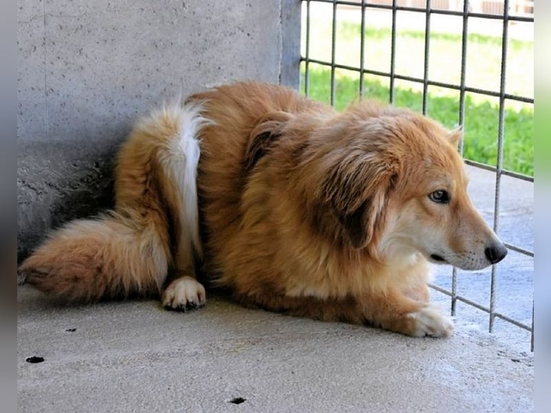 Jonathen - Die Flucht in mir