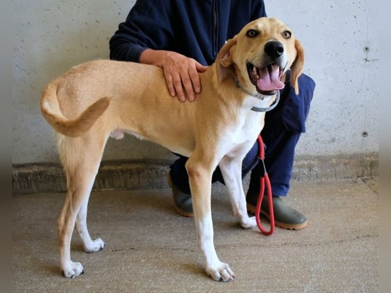 Wiper - Möchte die Welt im Sturm erobern