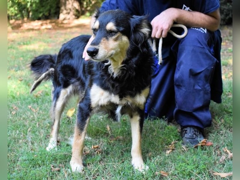 Daxter - wann darf sein Leben beginnen? Daxter - wann darf sein Leben beginnen?