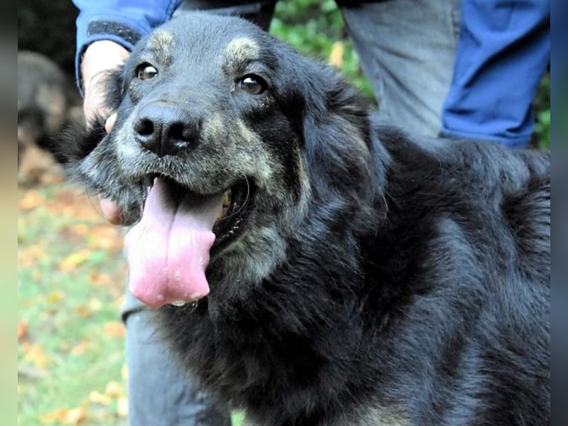 Pinot - "Unmöglich!" sagte die Tatsache... Pinot - "Unmöglich!" sagte die Tatsache...