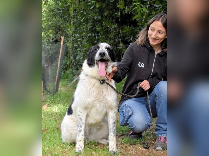 Jasmine - Wer nicht neugierig ist, erfährt nichts!