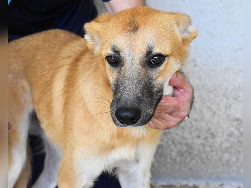 Osita - "Und wenn sie nicht weg sind.....