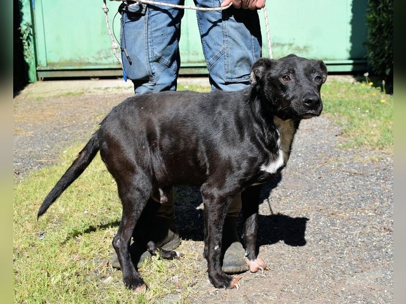 Rhino - NOTFALL !!! - Wenn man nicht auffällt, geht man unter