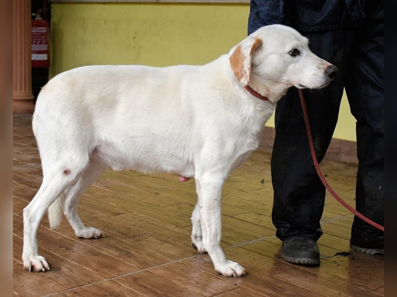 Ghemon - Notfall - Wie wenig kann ein Leben zählen?