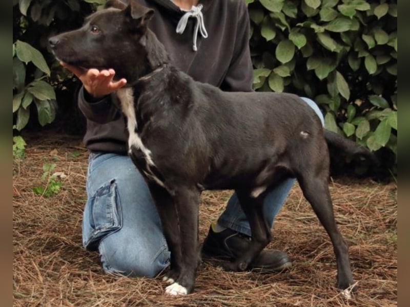 Rhino - Wenn man nicht auffällt, geht man unter