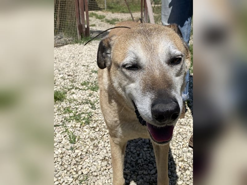 Plugh - Opa Plugh möchte die Welt - und Sie! kennenlernen
