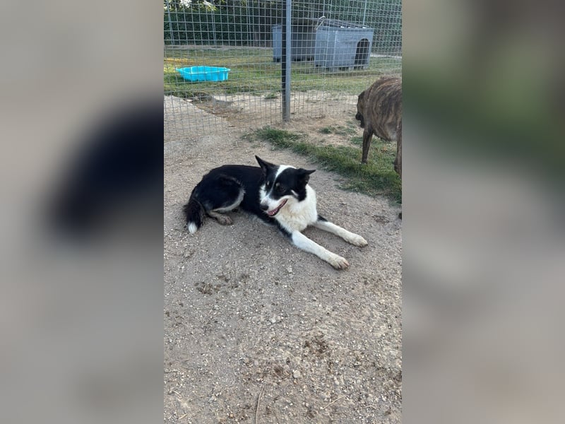 Selina - Nach einer langen Reise endlich ankommen dürfen