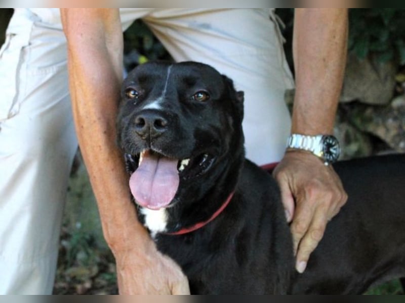 Sienna - Surferin der Herzen