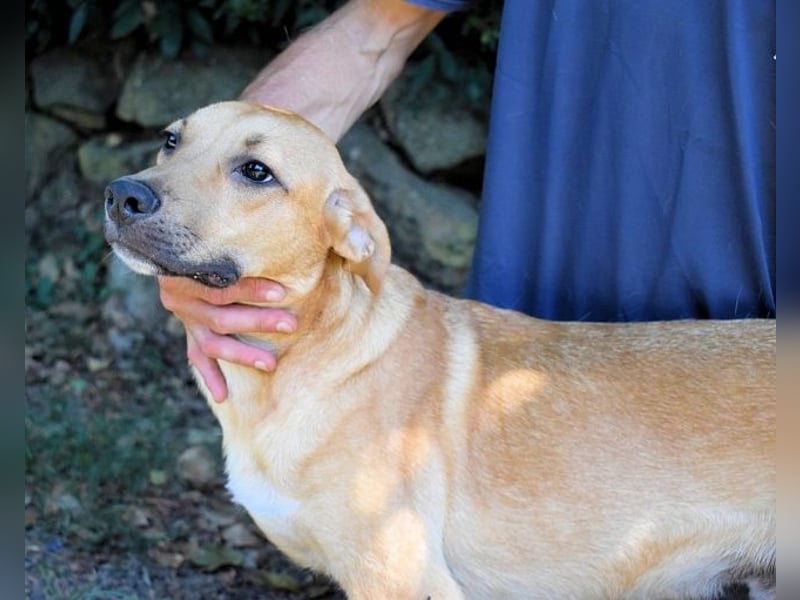 Ulbert - hat alles verloren