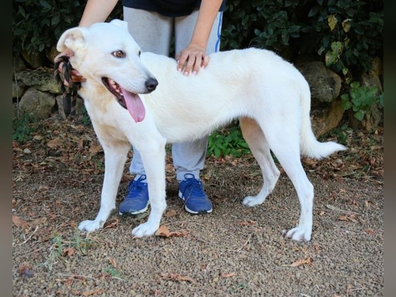 Dafnielle - Zukunft gesucht