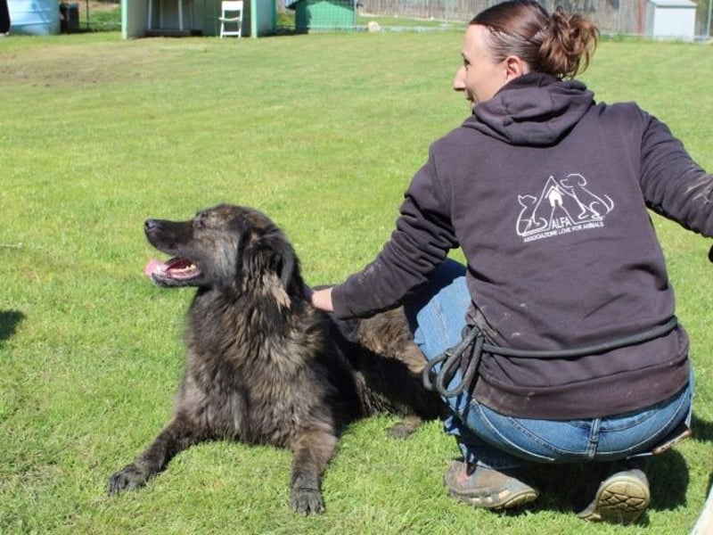 Nayra - unsere Süße