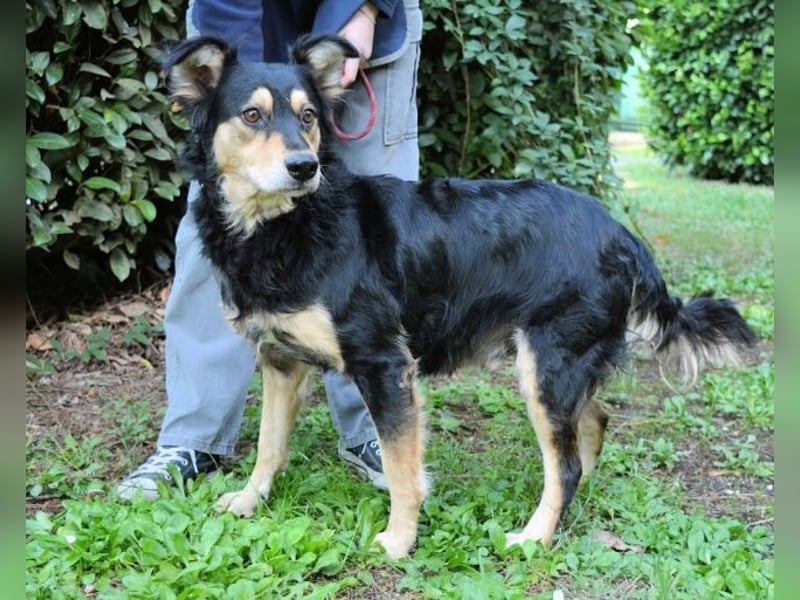 Daxter - wann darf sein Leben beginnen? Daxter - wann darf sein Leben beginnen?