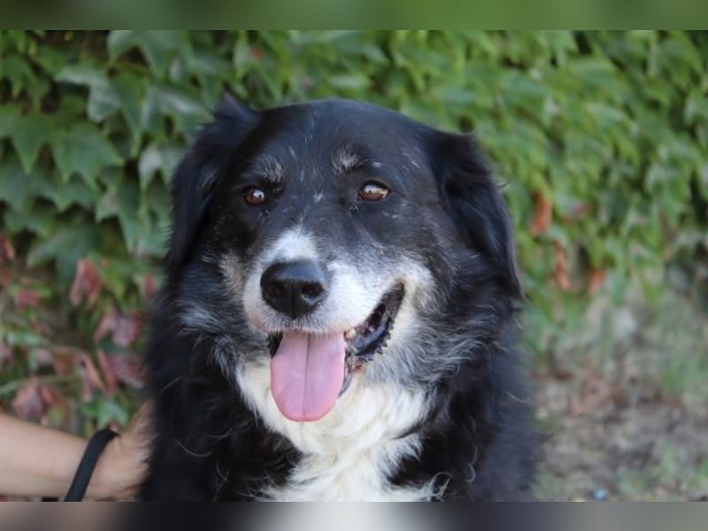 Carmine - Bereit für den Neustart