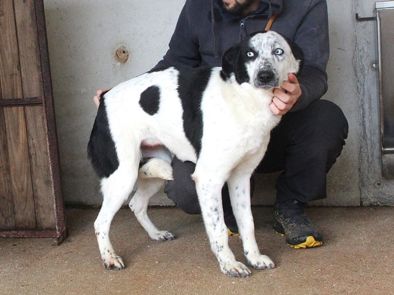 Nyxiel - Die schönsten Augen