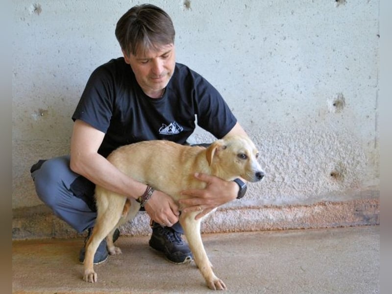 Rodrigue - Ein Anfang, der nie kam