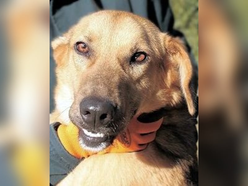 Kairo - möchte einfach nur genießen