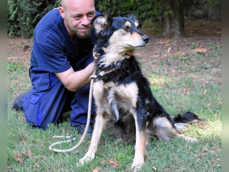 Daxter - wann darf sein Leben beginnen? Daxter - wann darf sein Leben beginnen?