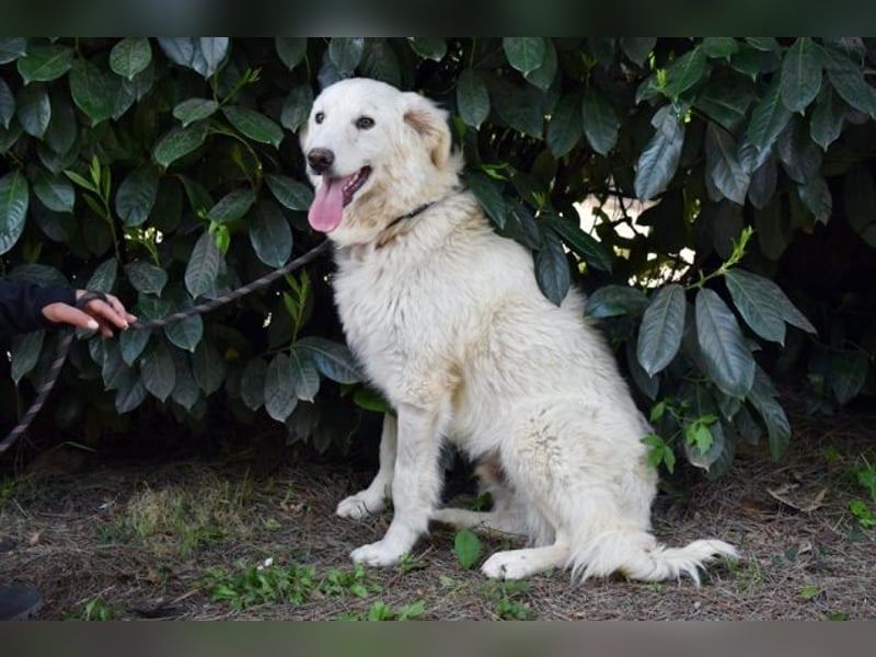 Florenz - bereit für das Abenteuer Leben