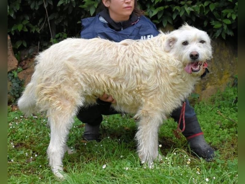 Gatsby - Der große Gatsby sucht seine Daisy