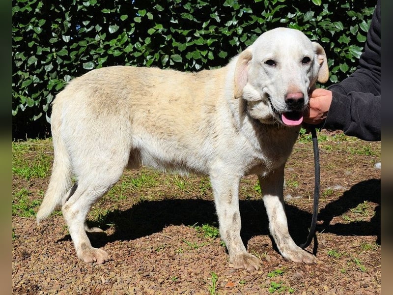 Shaydon - Ein riesiges Missverständnis!
