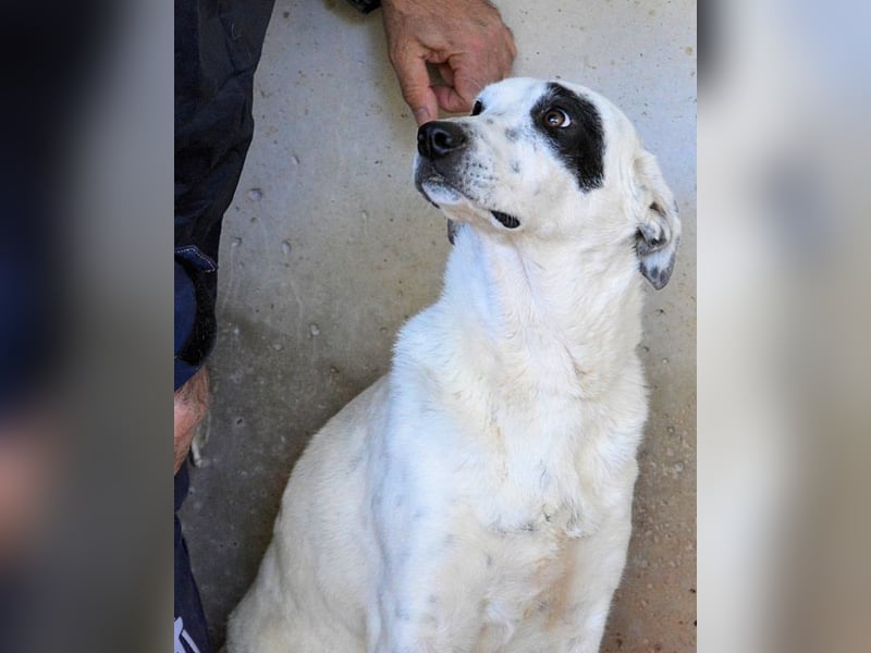 Arunny - Während Sie das hier lesen