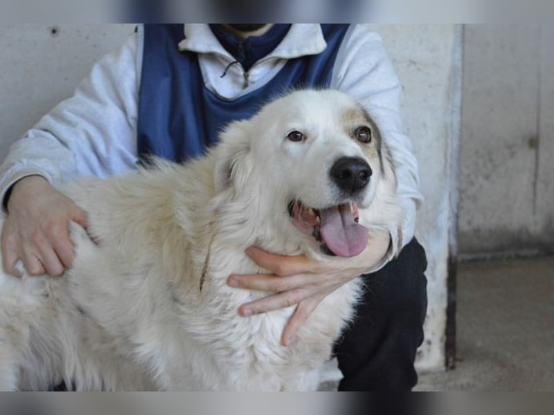 Bailoch - Zeig mir doch bitte...