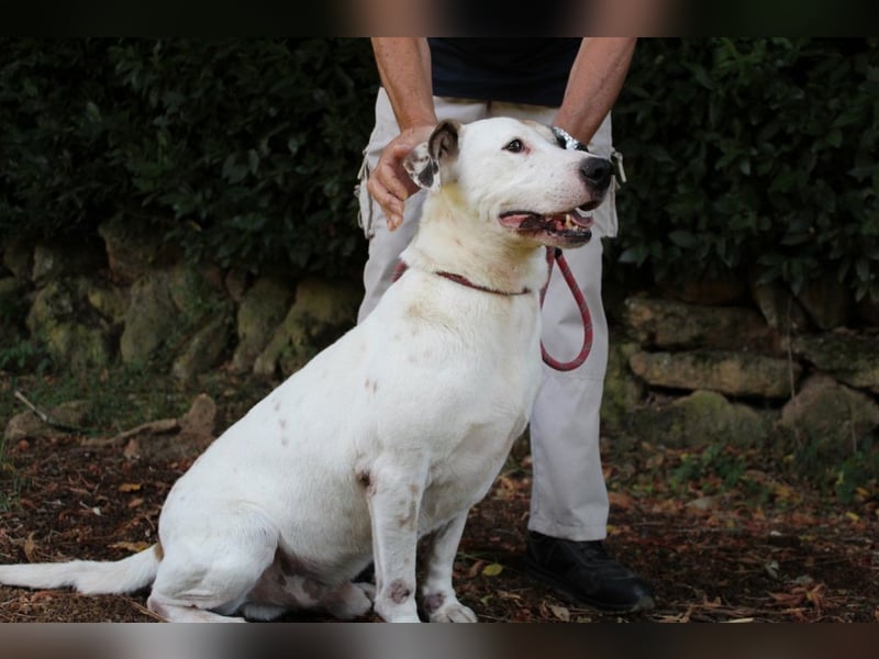 Argo - hungrig auf Leben und Er-Lebnisse