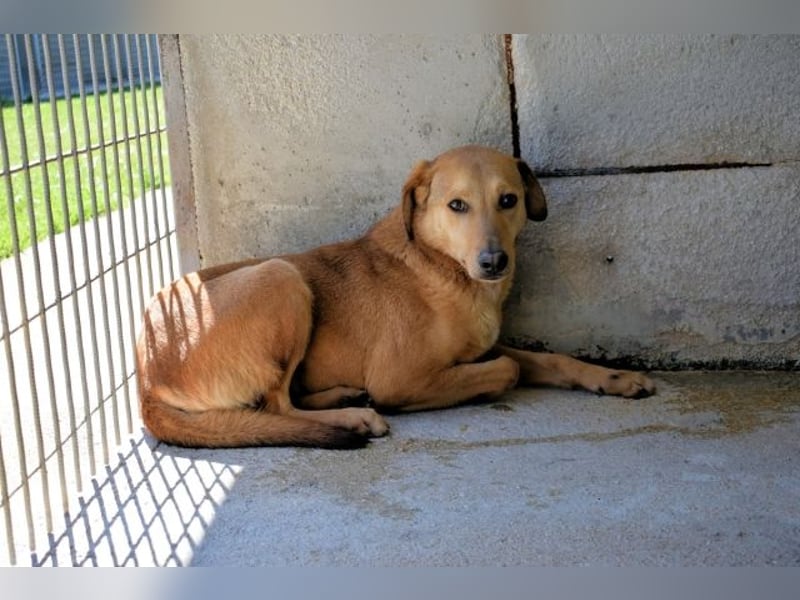 Benno - wenn du mutig bist, dann bin ich es auch!