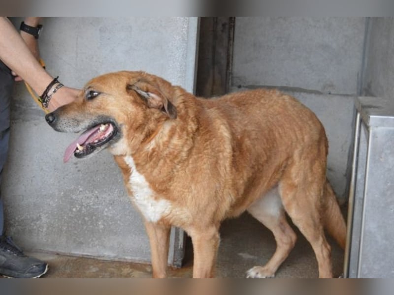 Kemp - Runder Rundum-Schatz