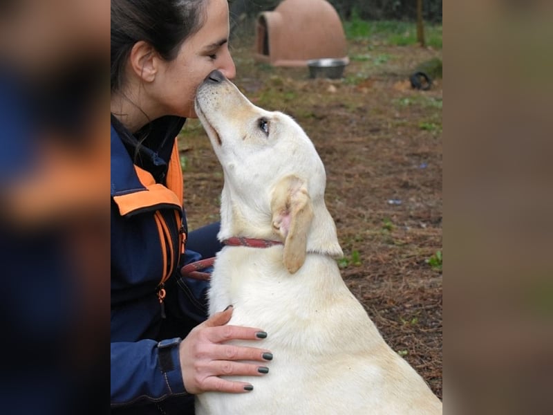 Hughie - macht ein Freundschaftsangebot