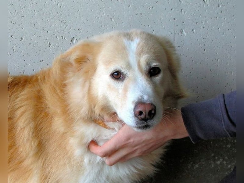 Tirvian - Kurz Alarm, dann Charme