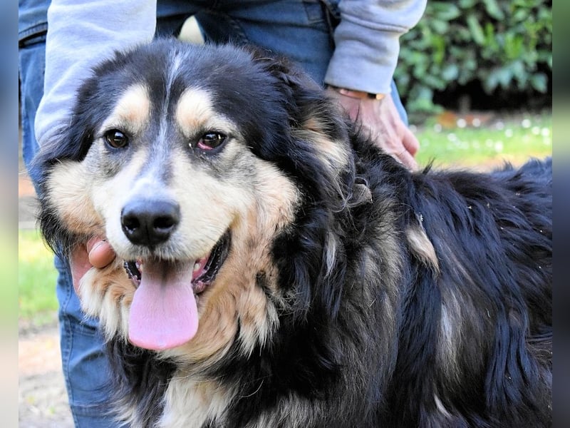 Oliverio - ohne Anklage hinter Gittern