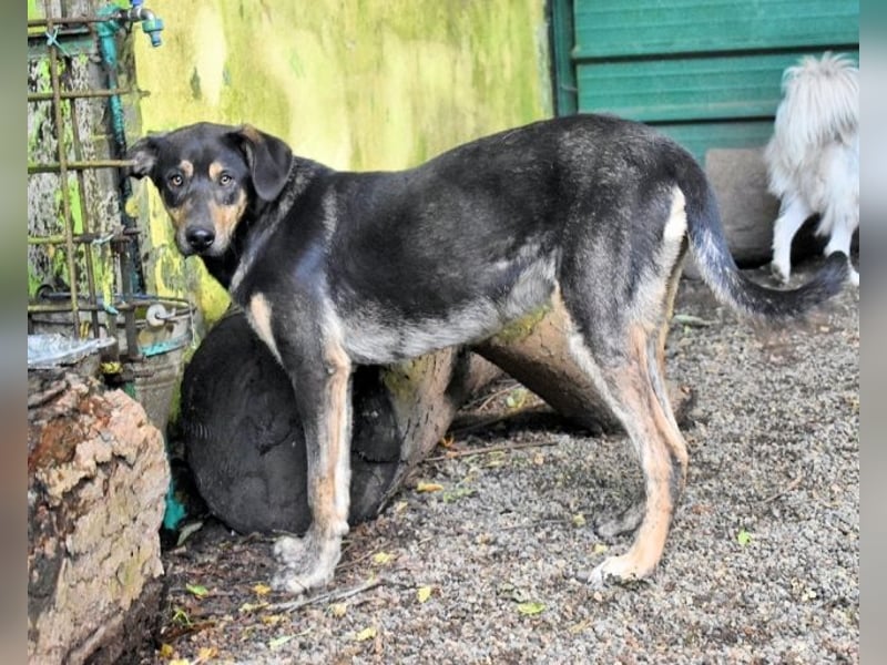 Montego - Sonne im Bauch und Brausekribbeln im Hirn