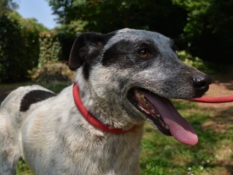 Medwin - Wo ist denn nun das wahre Leben?