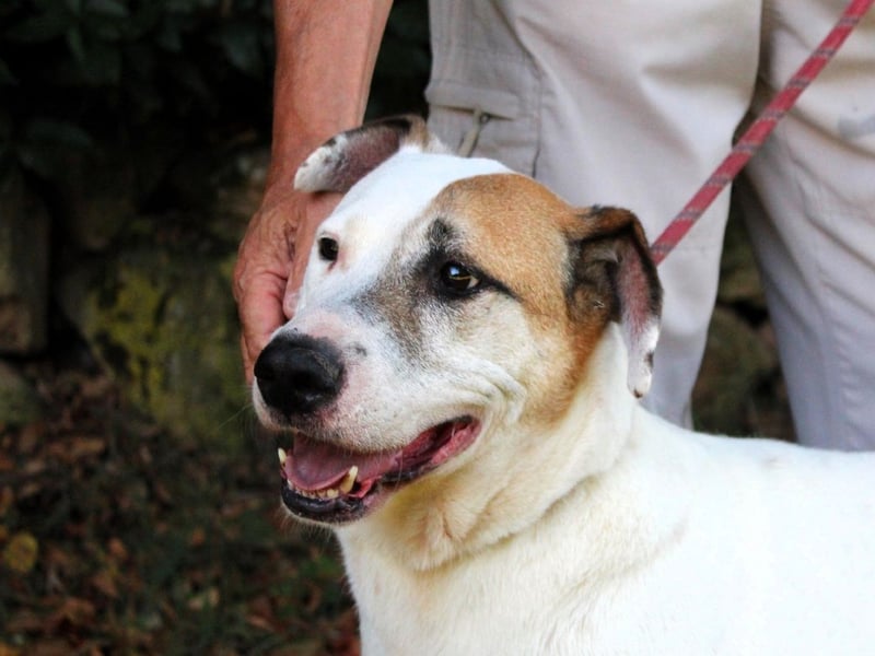 Argo - hungrig auf Leben und Er-Lebnisse