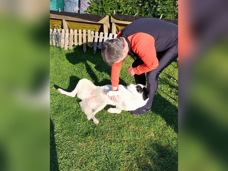 Marni - Dieses Herz hat schon zu lange gewartet