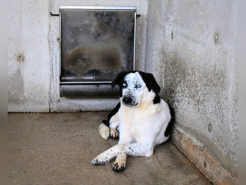 Nyxiel - Die schönsten Augen