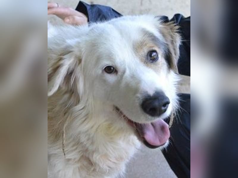 Bailoch - Zeig mir doch bitte...