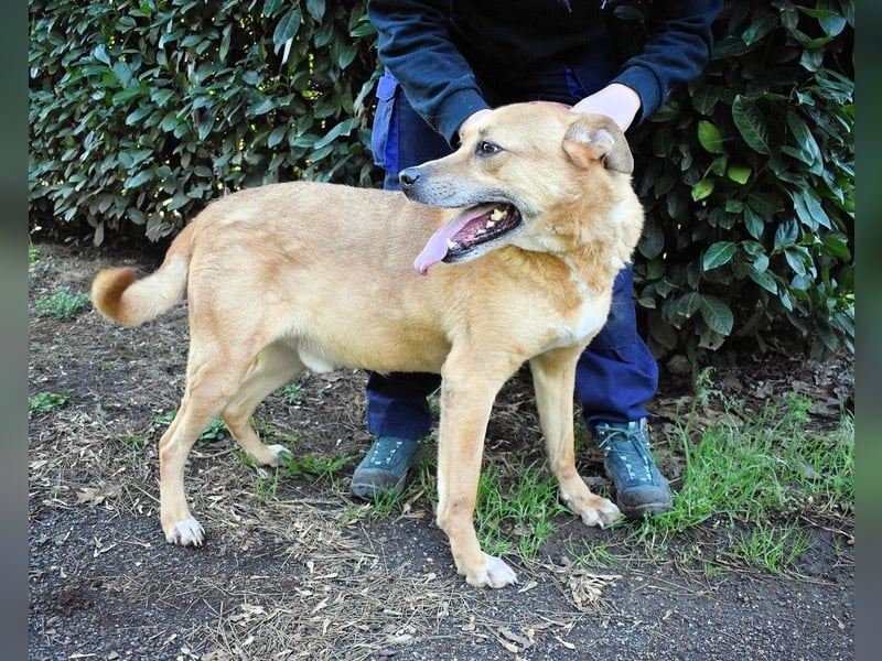 Cesny - Noch ist es nicht zu spät, aber es wird höchste Zeit!