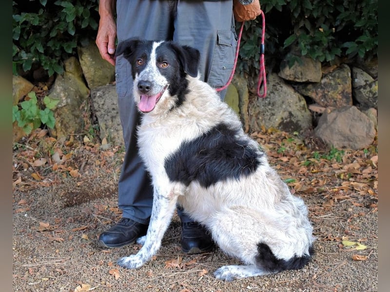 Jessie - Wer nicht neugierig ist, erfährt nichts