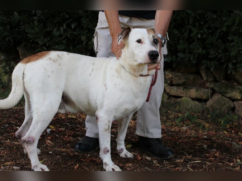 Argo - hungrig auf Leben und Er-Lebnisse