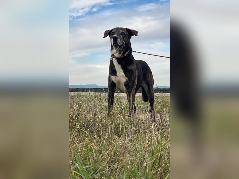 Lola - Das Herz hat seine Gründe