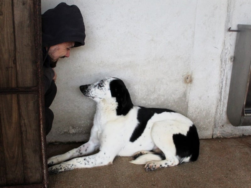 Nyxiel - Die schönsten Augen