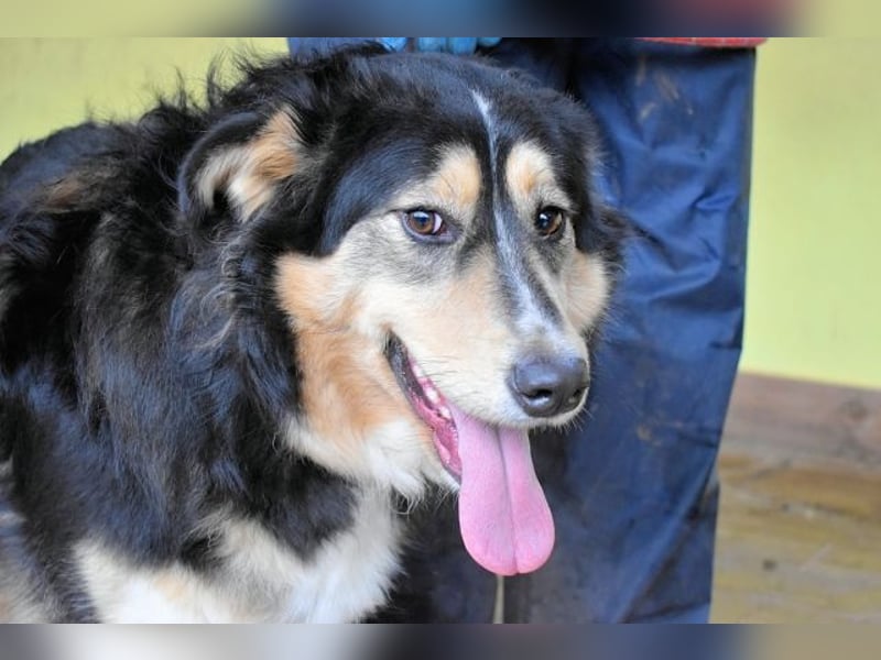 Oliverio - ohne Anklage hinter Gittern