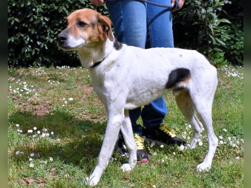 Kamyll - Der Platz neben dir