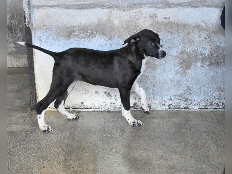 Mavette - Es soll DEIN Leben werden