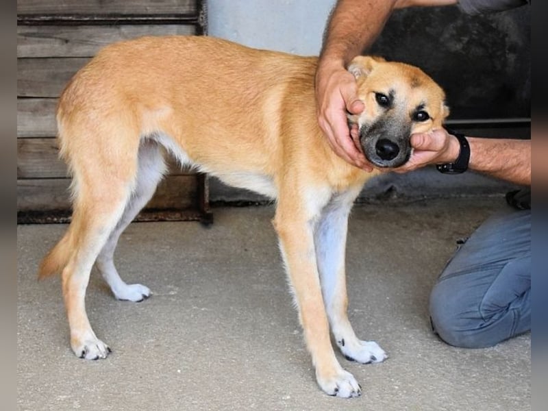 Osita - "Und wenn sie nicht weg sind.....