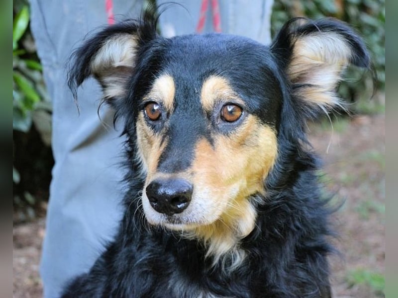 Daxter - wann darf sein Leben beginnen? Daxter - wann darf sein Leben beginnen?