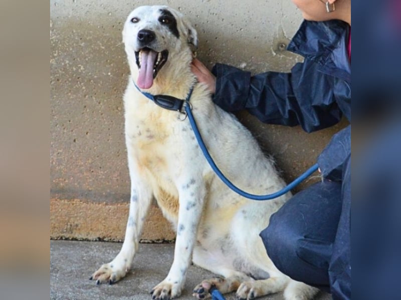 Arunny - Während Sie das hier lesen