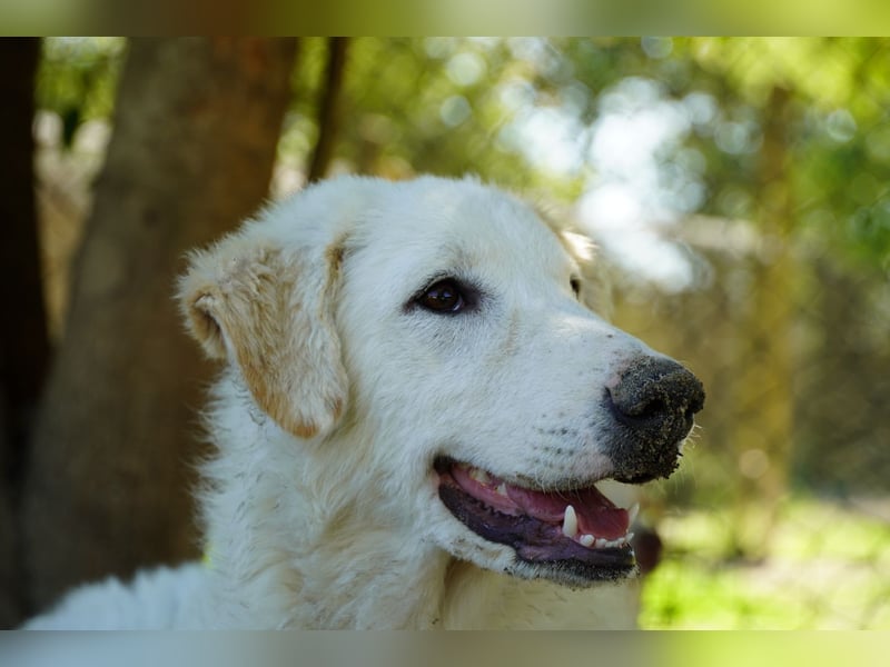 Tonia - Still, stark und voller Herz